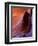 Lower Antelope Canyon Rock Formations-Ian Shive-Framed Premium Photographic Print