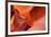 Lower Antelope Canyon-Paul Souders-Framed Photographic Print