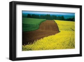 Lower Austria-null-Framed Art Print