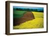 Lower Austria-null-Framed Art Print