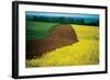 Lower Austria-null-Framed Art Print