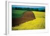 Lower Austria-null-Framed Art Print