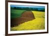 Lower Austria-null-Framed Art Print