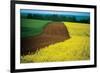 Lower Austria-null-Framed Art Print