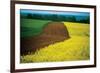 Lower Austria-null-Framed Art Print