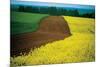 Lower Austria-null-Mounted Art Print