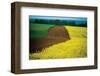 Lower Austria-null-Framed Art Print