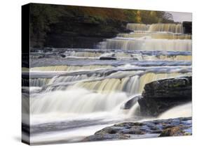 Lower Aysgarth Falls and Autumn Colours, Near Hawes, Wensleydale, Yorkshire, England-Neale Clarke-Stretched Canvas