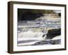 Lower Aysgarth Falls and Autumn Colours, Near Hawes, Wensleydale, Yorkshire, England-Neale Clarke-Framed Photographic Print
