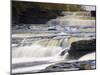 Lower Aysgarth Falls and Autumn Colours, Near Hawes, Wensleydale, Yorkshire, England-Neale Clarke-Mounted Photographic Print