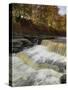 Lower Aysgarth Falls and Autumn Colours Near Hawes, Yorkshire Dales National Park, Yorkshire-Neale Clarke-Stretched Canvas