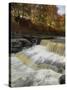 Lower Aysgarth Falls and Autumn Colours Near Hawes, Yorkshire Dales National Park, Yorkshire-Neale Clarke-Stretched Canvas