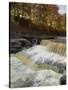 Lower Aysgarth Falls and Autumn Colours Near Hawes, Yorkshire Dales National Park, Yorkshire-Neale Clarke-Stretched Canvas