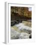 Lower Aysgarth Falls and Autumn Colours Near Hawes, Yorkshire Dales National Park, Yorkshire-Neale Clarke-Framed Photographic Print