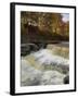 Lower Aysgarth Falls and Autumn Colours Near Hawes, Yorkshire Dales National Park, Yorkshire-Neale Clarke-Framed Photographic Print