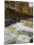 Lower Aysgarth Falls and Autumn Colours Near Hawes, Yorkshire Dales National Park, Yorkshire-Neale Clarke-Mounted Photographic Print