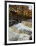 Lower Aysgarth Falls and Autumn Colours Near Hawes, Yorkshire Dales National Park, Yorkshire-Neale Clarke-Framed Photographic Print