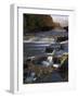 Lower Aysgarth Falls and Autumn Colours Near Hawes, Yorkshire Dales National Park, Yorkshire-Neale Clarke-Framed Photographic Print