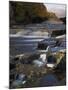 Lower Aysgarth Falls and Autumn Colours Near Hawes, Yorkshire Dales National Park, Yorkshire-Neale Clarke-Mounted Photographic Print