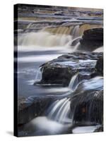 Lower Aysgarth Falls Near Hawes, Wensleydale, Yorkshire Dales National Park, Yorkshire, England, UK-Neale Clarke-Stretched Canvas