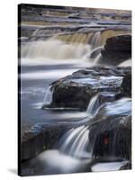 Lower Aysgarth Falls Near Hawes, Wensleydale, Yorkshire Dales National Park, Yorkshire, England, UK-Neale Clarke-Stretched Canvas