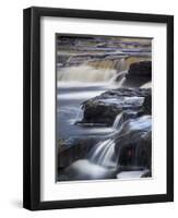 Lower Aysgarth Falls Near Hawes, Wensleydale, Yorkshire Dales National Park, Yorkshire, England, UK-Neale Clarke-Framed Photographic Print