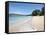 Lower Bay, Bequia, St. Vincent and the Grenadines, Windward Islands, West Indies, Caribbean-Michael DeFreitas-Framed Stretched Canvas