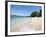 Lower Bay, Bequia, St. Vincent and the Grenadines, Windward Islands, West Indies, Caribbean-Michael DeFreitas-Framed Photographic Print