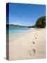 Lower Bay, Bequia, St. Vincent and the Grenadines, Windward Islands, West Indies, Caribbean-Michael DeFreitas-Stretched Canvas