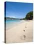 Lower Bay, Bequia, St. Vincent and the Grenadines, Windward Islands, West Indies, Caribbean-Michael DeFreitas-Stretched Canvas