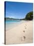 Lower Bay, Bequia, St. Vincent and the Grenadines, Windward Islands, West Indies, Caribbean-Michael DeFreitas-Stretched Canvas