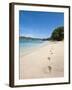 Lower Bay, Bequia, St. Vincent and the Grenadines, Windward Islands, West Indies, Caribbean-Michael DeFreitas-Framed Photographic Print