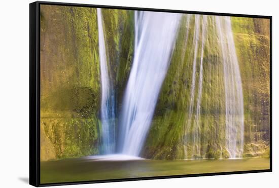 Lower Calf Creek Falls, Grand Staircase-Escalante National Monument, Utah, USA-Russ Bishop-Framed Stretched Canvas