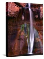 Lower Calf, Grand Staircase-Escalante National Monument, Utah,-Jerry Ginsberg-Stretched Canvas
