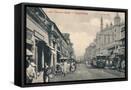 Framed Canvas