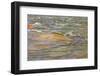 Lower Deschutes River, Central Oregon, USA-Stuart Westmorland-Framed Photographic Print