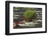 Lower Deschutes River, Central Oregon, USA-Stuart Westmorland-Framed Photographic Print