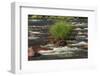 Lower Deschutes River, Central Oregon, USA-Stuart Westmorland-Framed Photographic Print