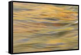 Lower Deschutes River, Central Oregon, USA-Stuart Westmorland-Framed Stretched Canvas