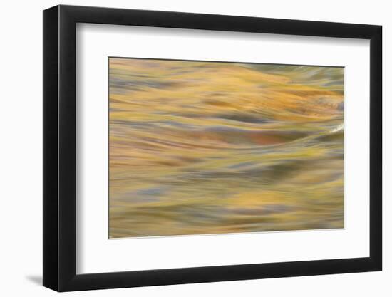 Lower Deschutes River, Central Oregon, USA-Stuart Westmorland-Framed Photographic Print