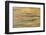 Lower Deschutes River, Central Oregon, USA-Stuart Westmorland-Framed Photographic Print