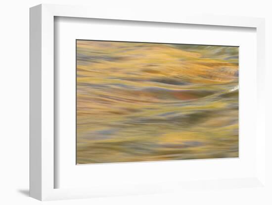 Lower Deschutes River, Central Oregon, USA-Stuart Westmorland-Framed Photographic Print