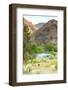 Lower Deschutes River, Central Oregon, USA-Stuart Westmorland-Framed Photographic Print