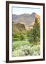 Lower Deschutes River, Central Oregon, USA-Stuart Westmorland-Framed Photographic Print