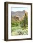 Lower Deschutes River, Central Oregon, USA-Stuart Westmorland-Framed Photographic Print