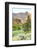 Lower Deschutes River, Central Oregon, USA-Stuart Westmorland-Framed Photographic Print