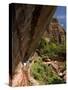 Lower Emerald Pool, Zion National Park, Utah, United States of America, North America-Richard Maschmeyer-Stretched Canvas