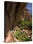 Lower Emerald Pool, Zion National Park, Utah, United States of America, North America-Richard Maschmeyer-Stretched Canvas