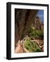 Lower Emerald Pool, Zion National Park, Utah, United States of America, North America-Richard Maschmeyer-Framed Photographic Print