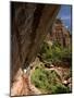 Lower Emerald Pool, Zion National Park, Utah, United States of America, North America-Richard Maschmeyer-Mounted Photographic Print